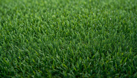 Artificial Grass Troubleshooting Guide