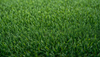 Artificial Grass Troubleshooting Guide