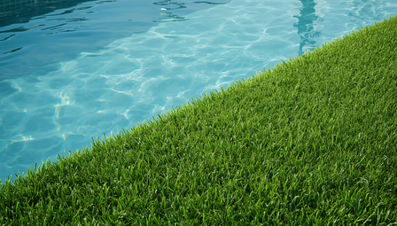 Artificial Grass for Swimming Pools – What to Know
