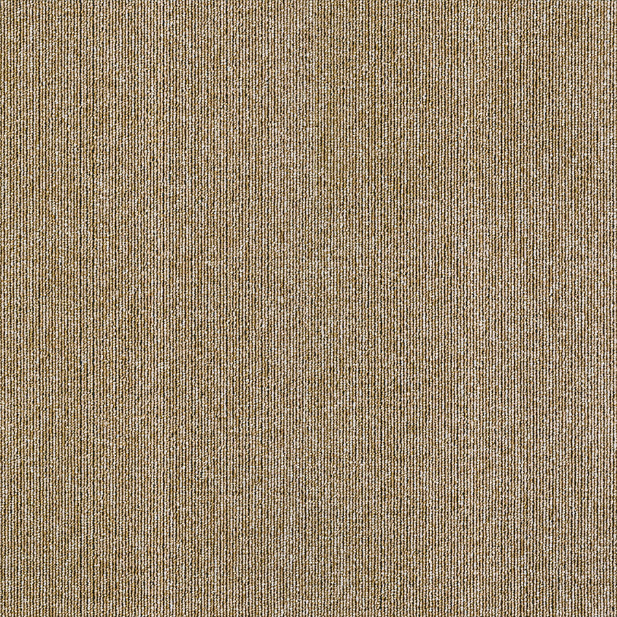 abbey collection BROWN TB27 singapore