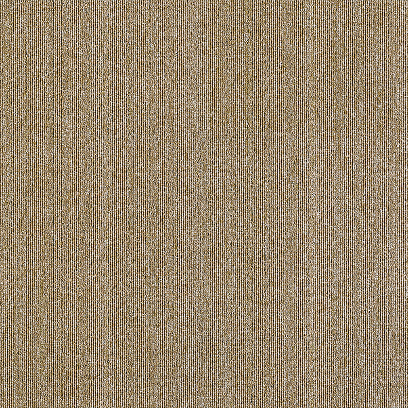 abbey collection BROWN TB27 singapore