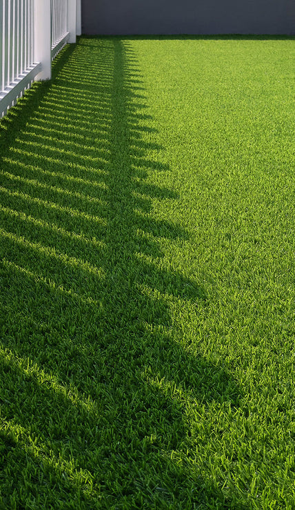 artificial grass carpet singapore