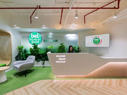 BEL Vietnam Project