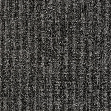boston DARK GREY BT05 singapore