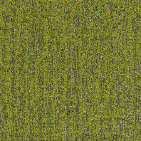 boston DAYLILY GREEN BT03 singapore