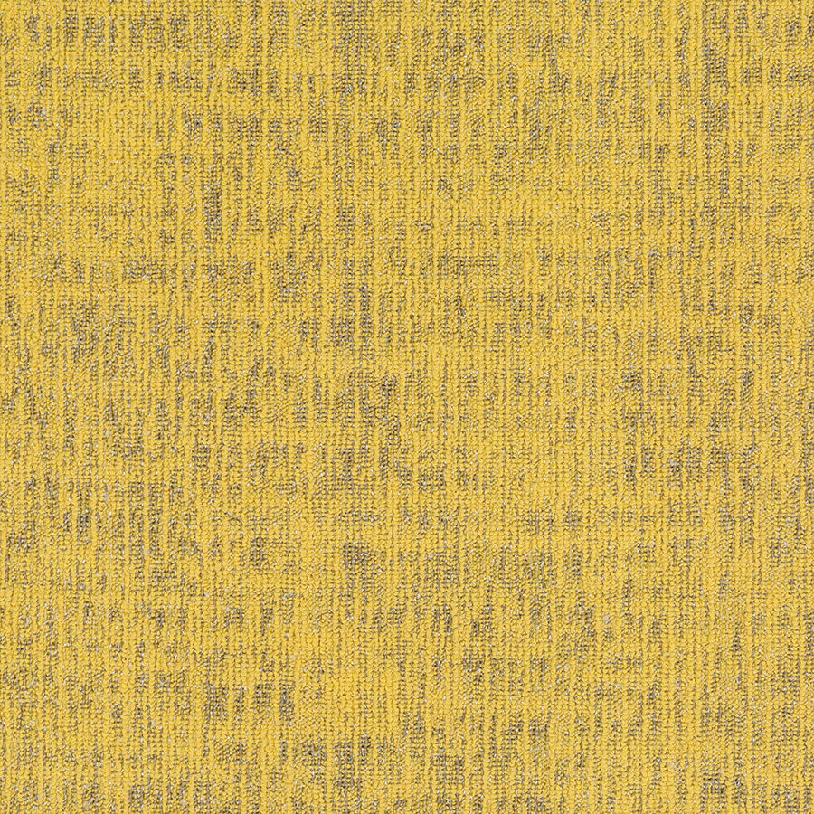 boston YELLOW TULIP BT07 singapore