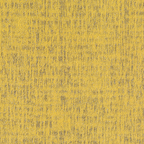 boston YELLOW TULIP BT07 singapore