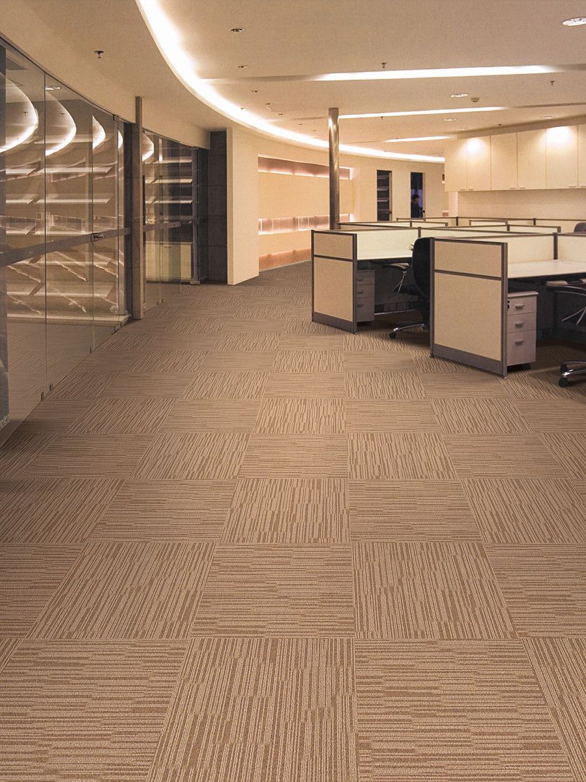 chicago BROWN BEAR 31 singapore