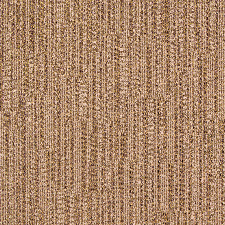 chicago BROWN BEAR CG31 singapore