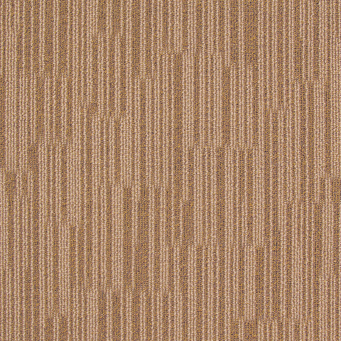 chicago BROWN BEAR CG31 singapore