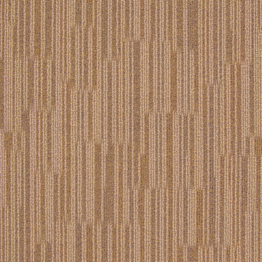 chicago BROWN BEAR CG31 singapore