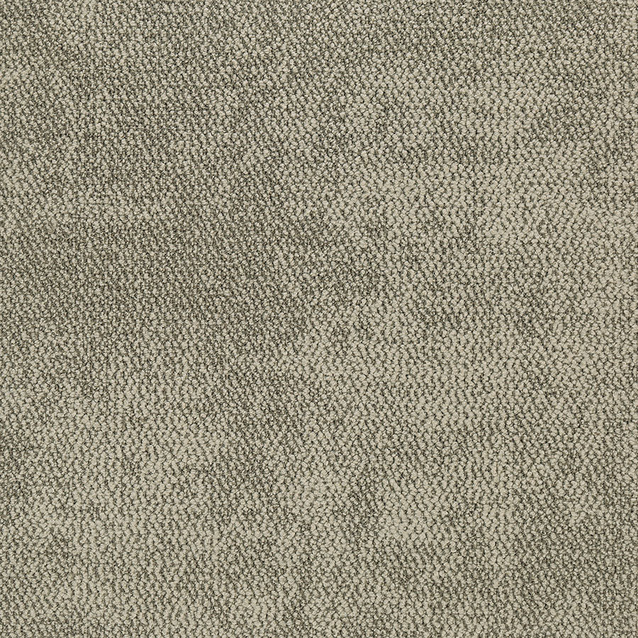 kyoto BROWN FIELD KT05 singapore