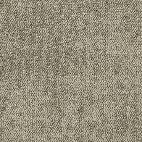 kyoto BROWN FIELD KT05 singapore