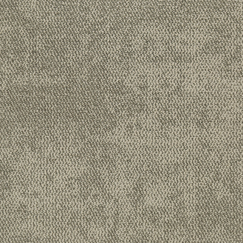 kyoto BROWN FIELD KT05 singapore