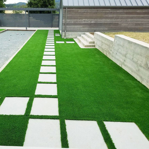 natural grass carpet view scenes