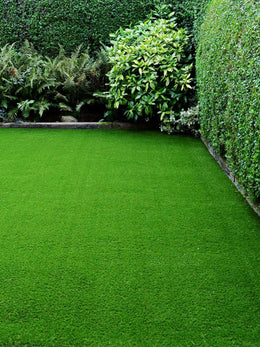 natural grass carpet view scenes 02