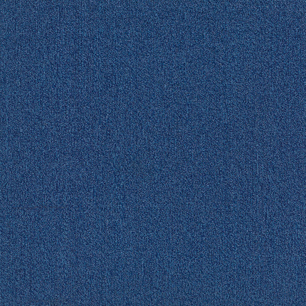 oxford ii DEEP BLUE OX008 singapore