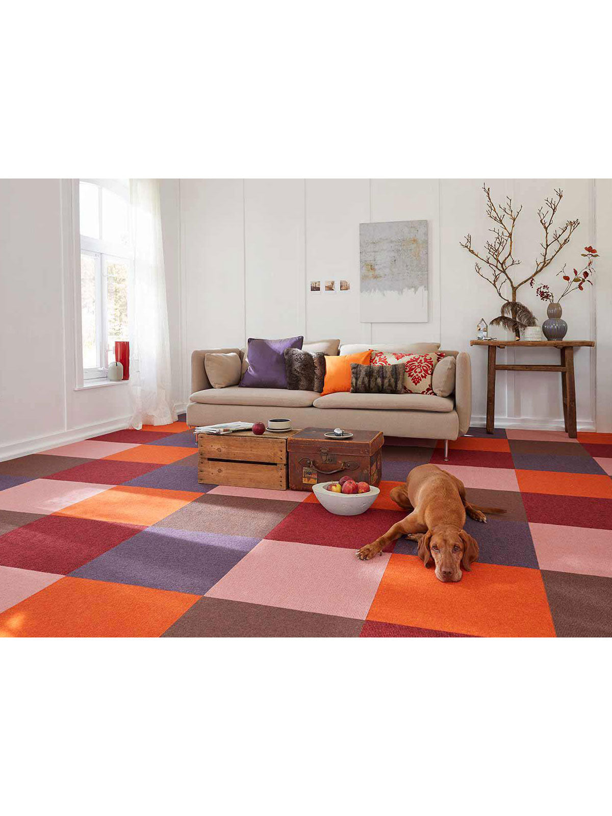 oxford ii OX01 2 3 4 8 singapore