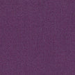 oxford ii RADIANT PURPLE OX005 singapore