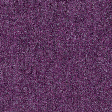 oxford ii RADIANT PURPLE OX005 singapore