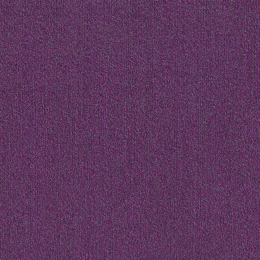 oxford ii RADIANT PURPLE OX005 singapore