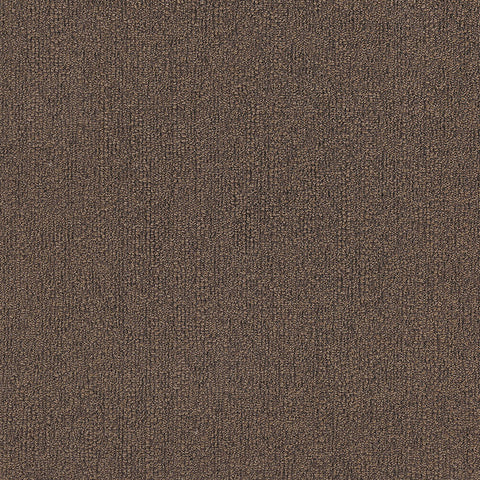 oxford ii ROYAL BROWNIE OX002 singapore