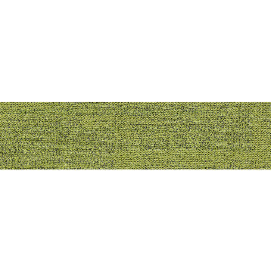 pasco plank EVER GREEN PP18 singapore