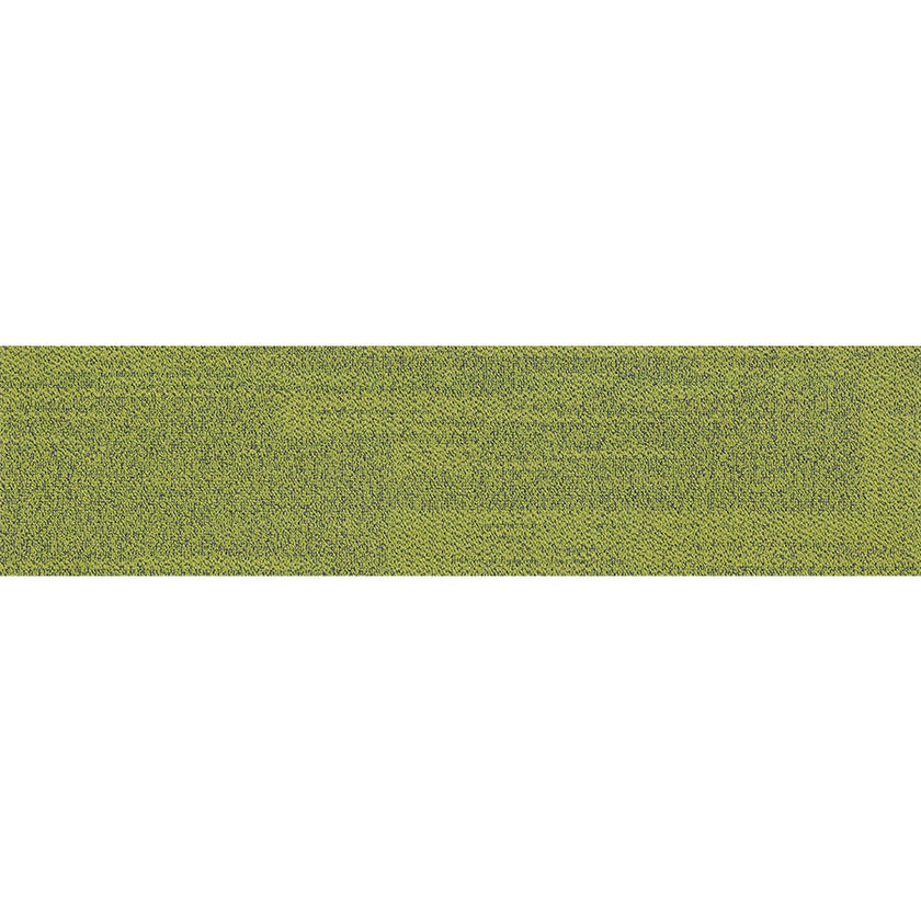 pasco plank EVER GREEN PP18 singapore