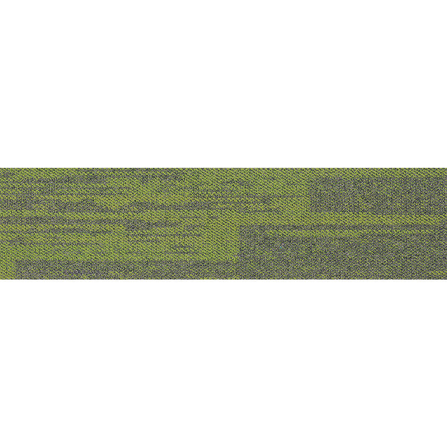 pasco plank FOREST GREEN PP09 singapore