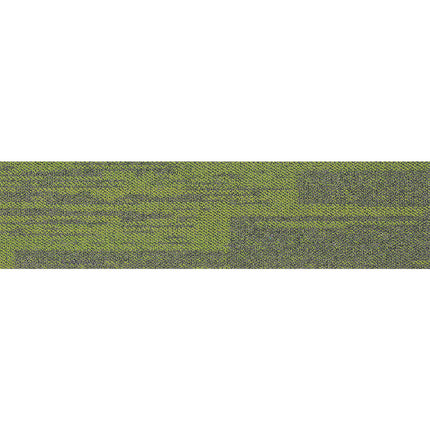 pasco plank FOREST GREEN PP09 singapore