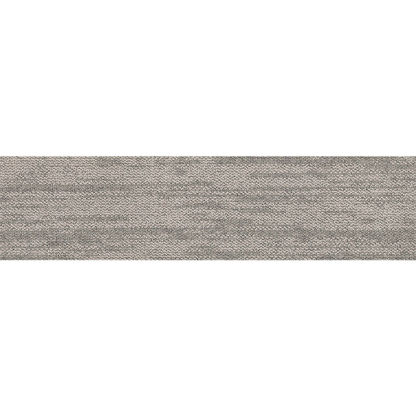 pasco plank PP01 singapore