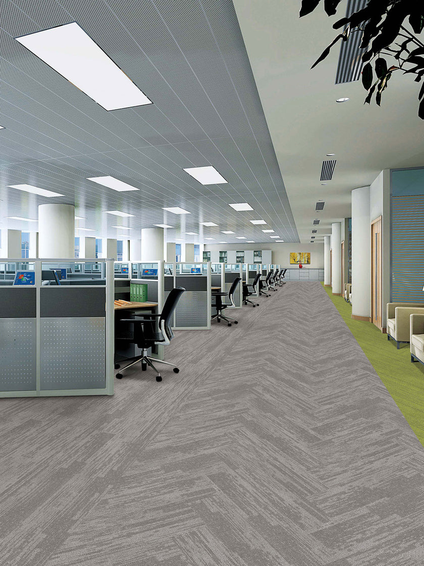 pasco plank PP02 18 singapore