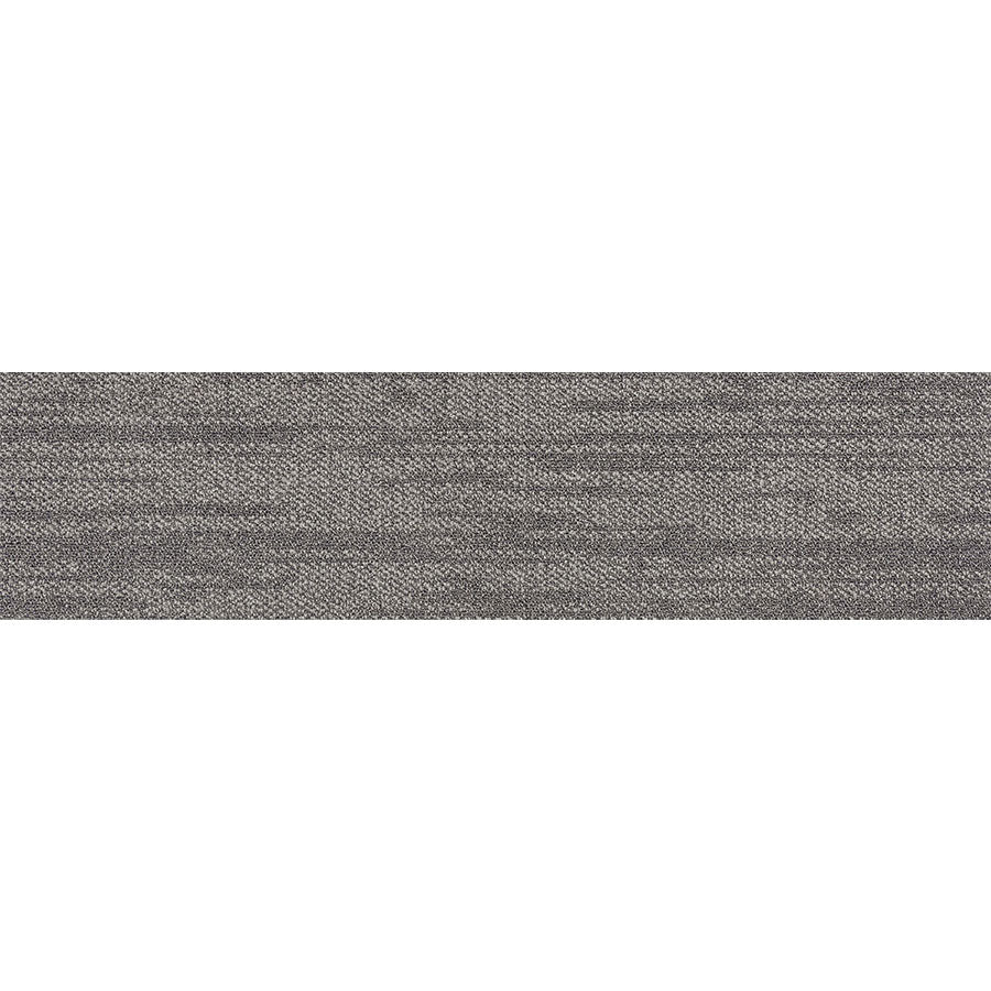 pasco plank PP03 singapore