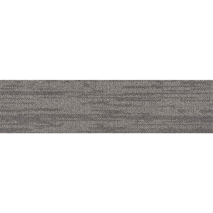 pasco plank PP03 singapore