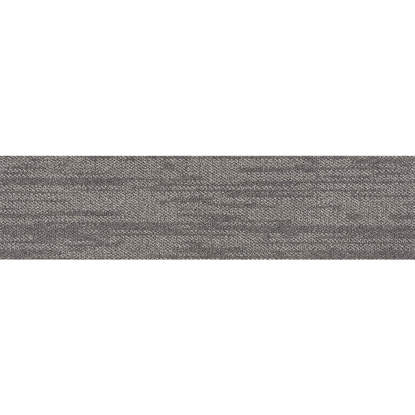 pasco plank PP03 singapore