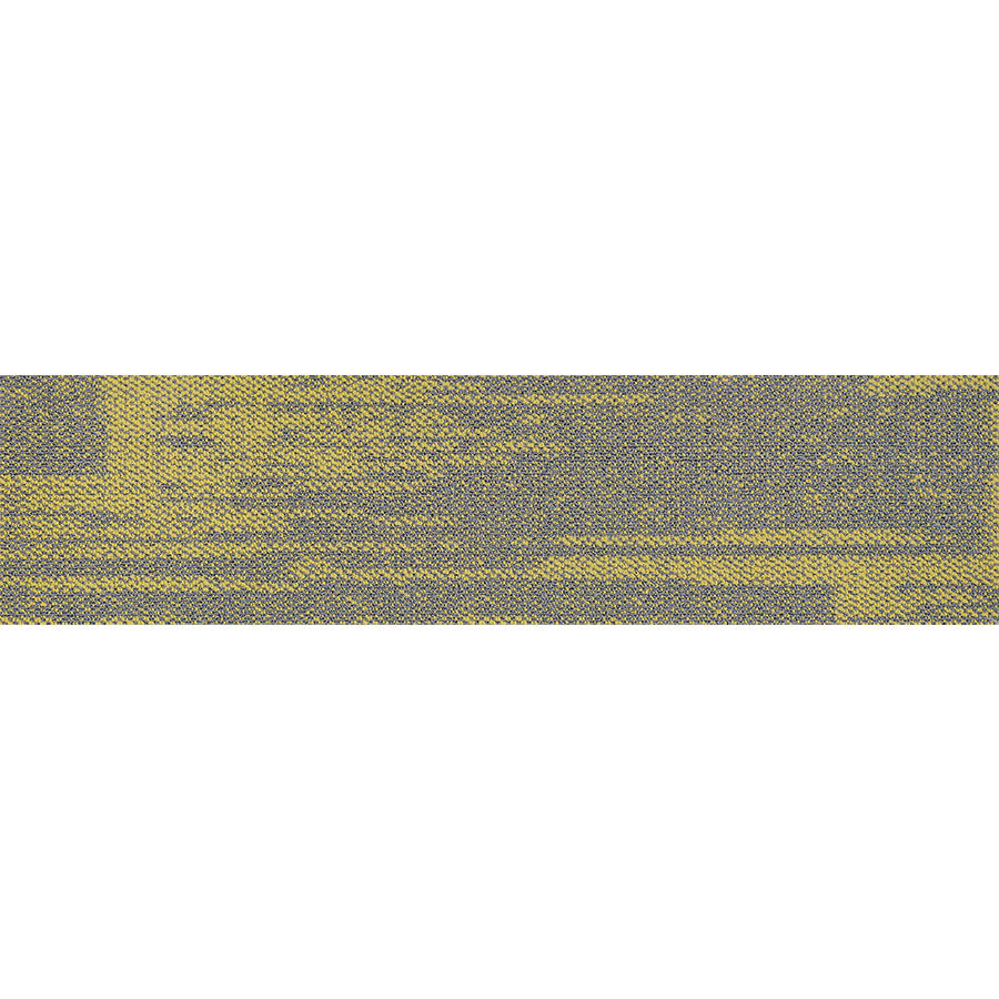 pasco plank PP08 singapore