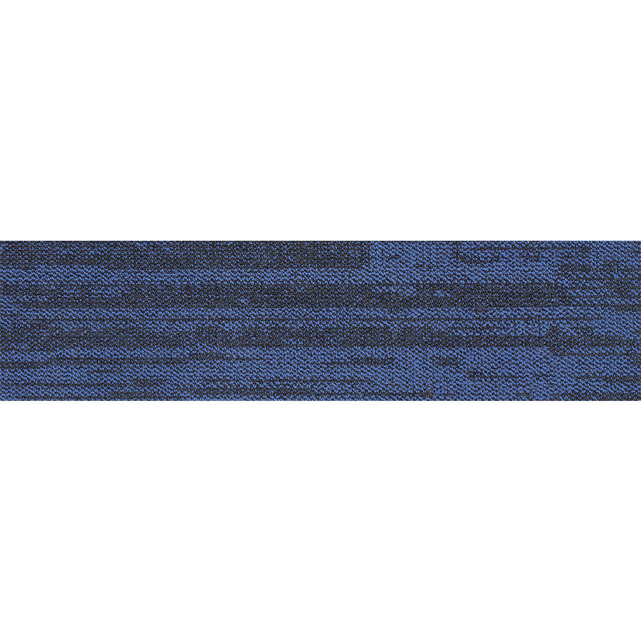 pasco plank PP10 singapore