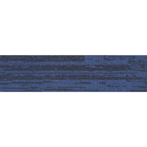 pasco plank PP10 singapore