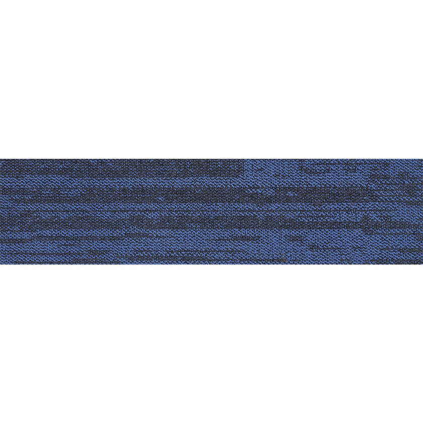 pasco plank PP10 singapore