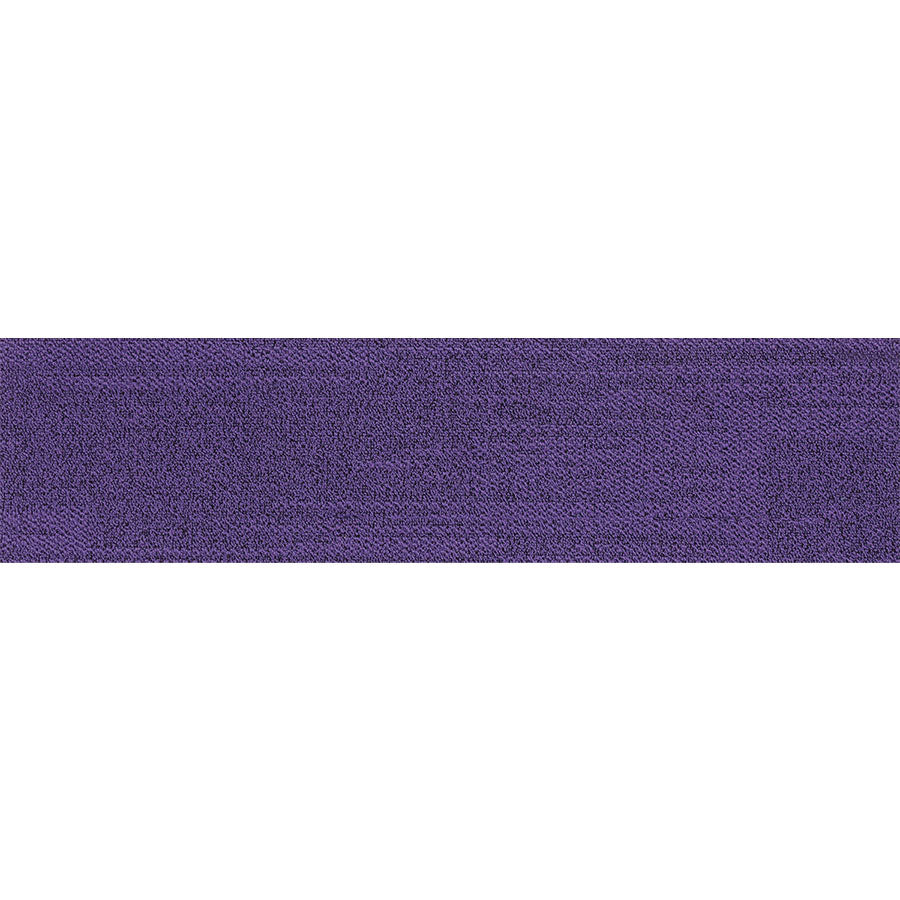 pasco plank PP16 singapore