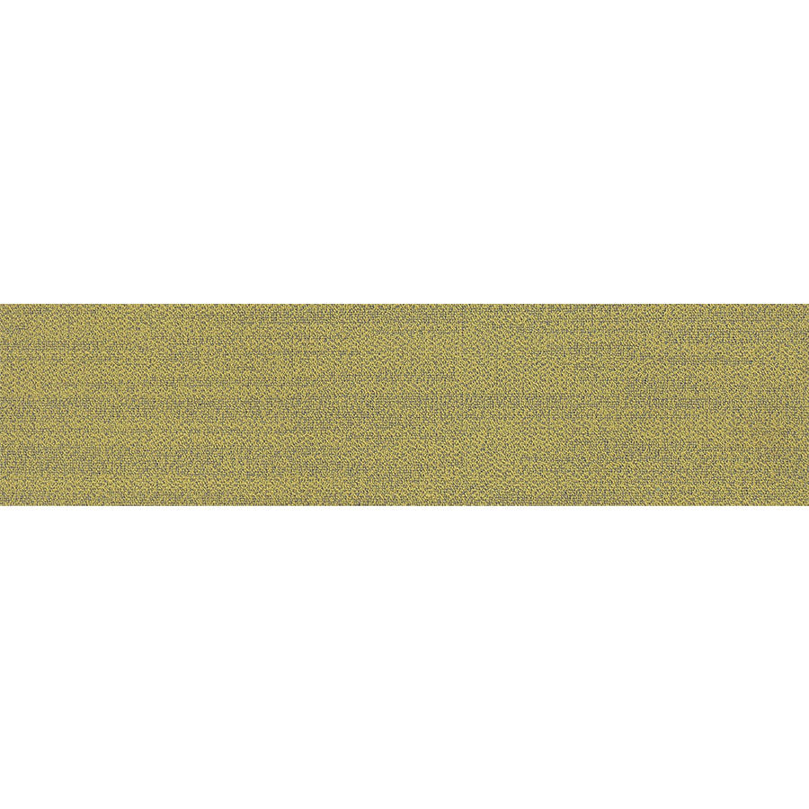 pasco plank PP17 singapore