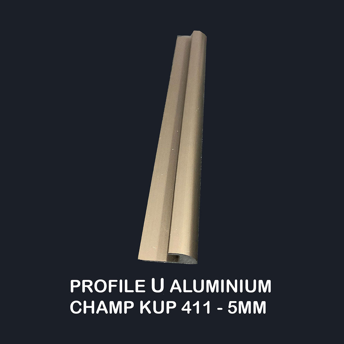 profile u aluminium champ kup 411 5mm singapore