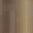 starone GOLD BROWN ST03 singapore