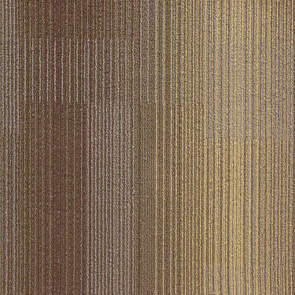 starone GOLD BROWN ST03 singapore