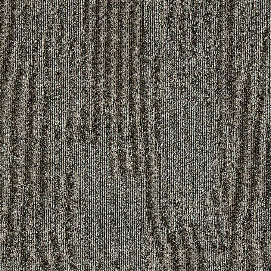 sydney BROWN CEMENT SN202 singapore