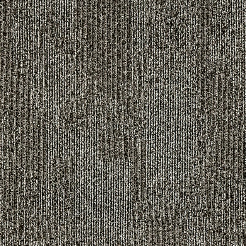 sydney BROWN CEMENT SN202 singapore